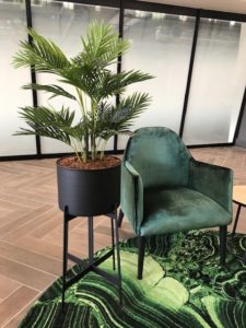 IMG_3394 (1)